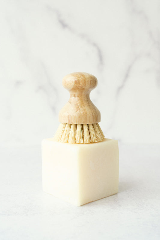 Large Solid Dish Soap