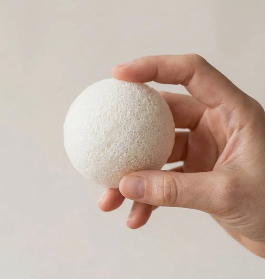 Hand holding a white textured konjac facial sponge against a plain background